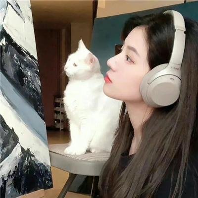 有毛冇翼飞天猪