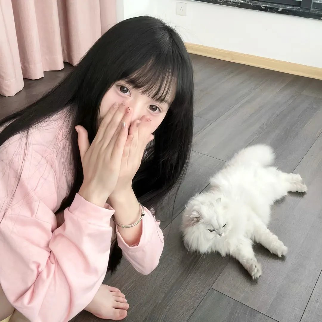 芬奇达
